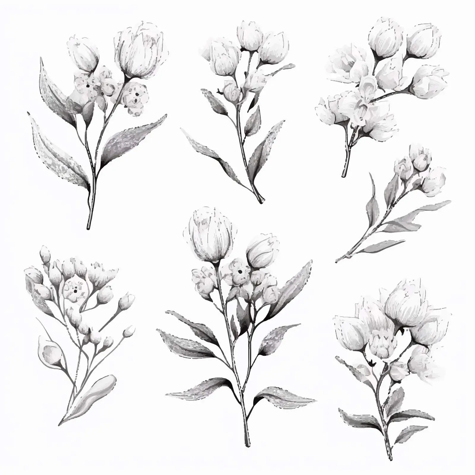 Hand Drawn Eucalyptus Vector Illustrations Set — free download from Dotvec