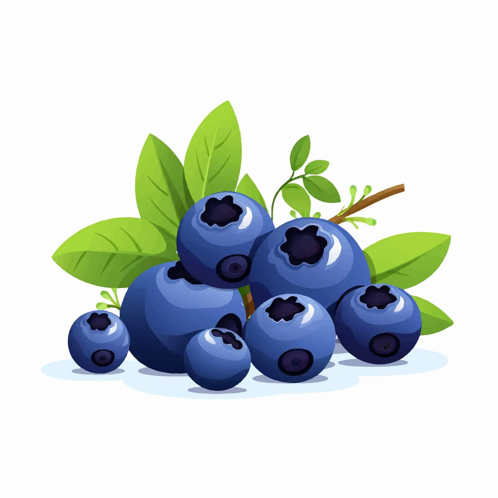 Blue Berries and Bilberries Vector Illustration — free download from Dotvec