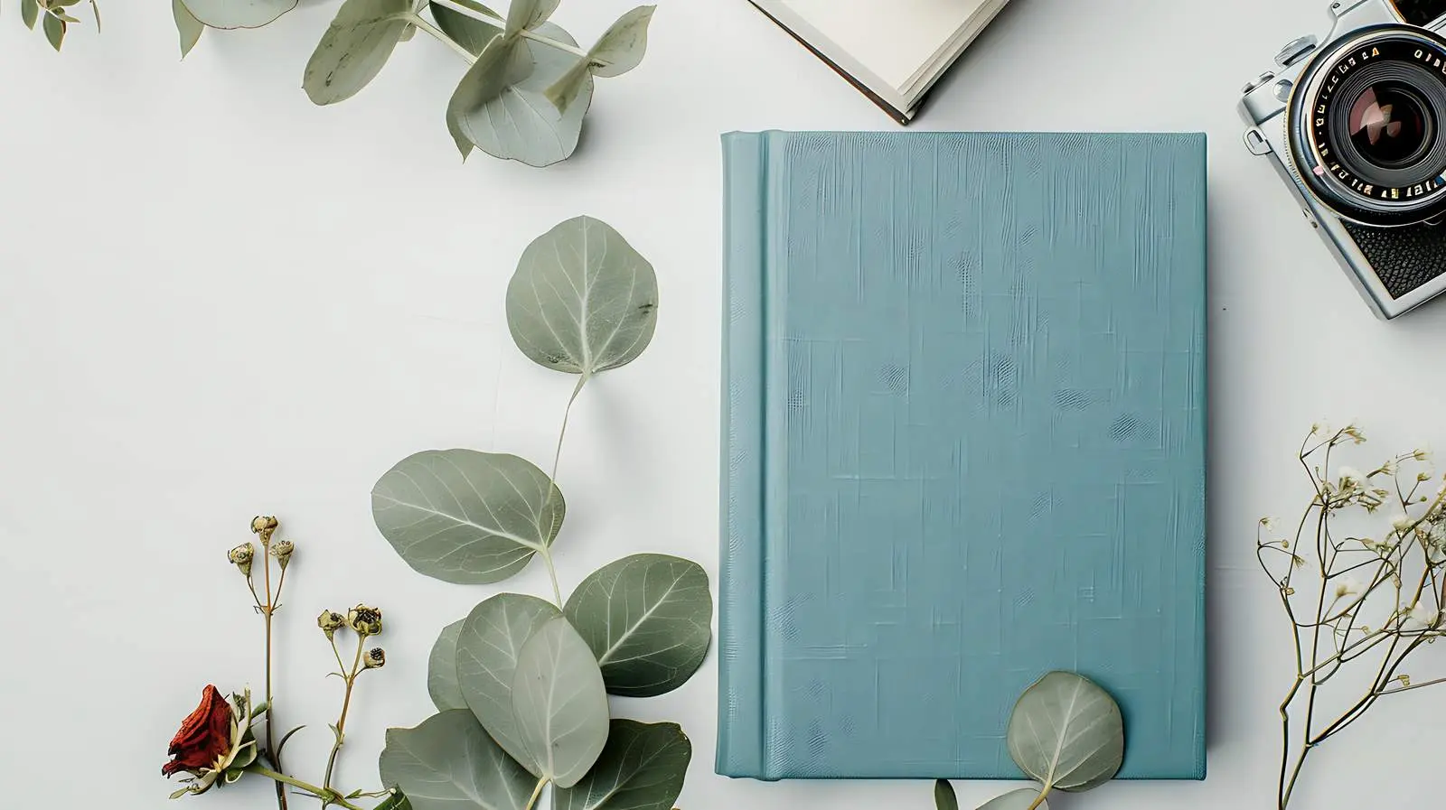 Blue Family and Wedding Photo Album – free infant image from Dotvec