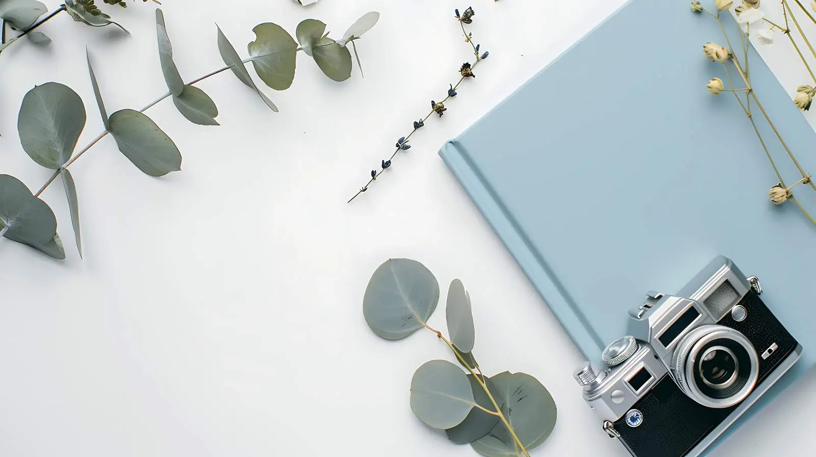 Blue Family Wedding Photo Album with Text Space — free download from Dotvec