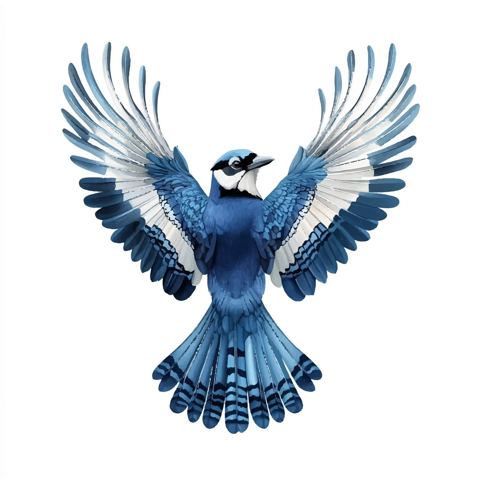 Blue Jay Bird Vector Illustration — free download from Dotvec