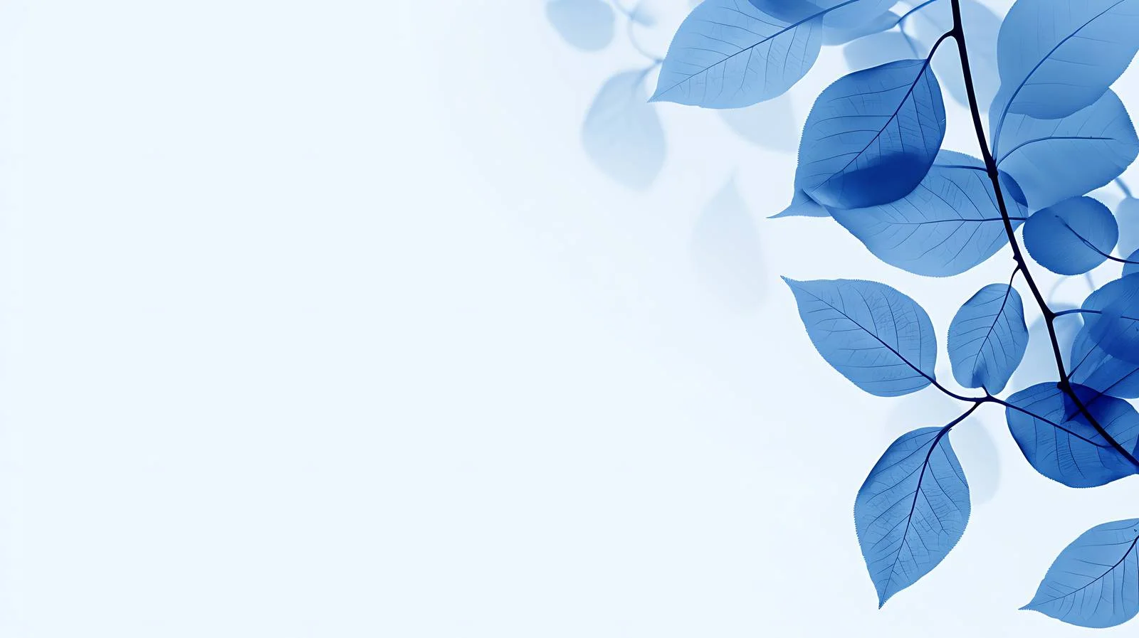 Fall Blue Plant Leaves in Nature — free download from Dotvec