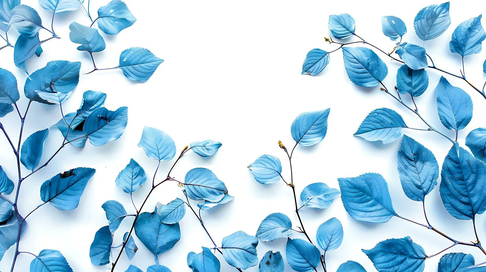 Vivid Blue Plant Leaves in Autumn — free download from Dotvec