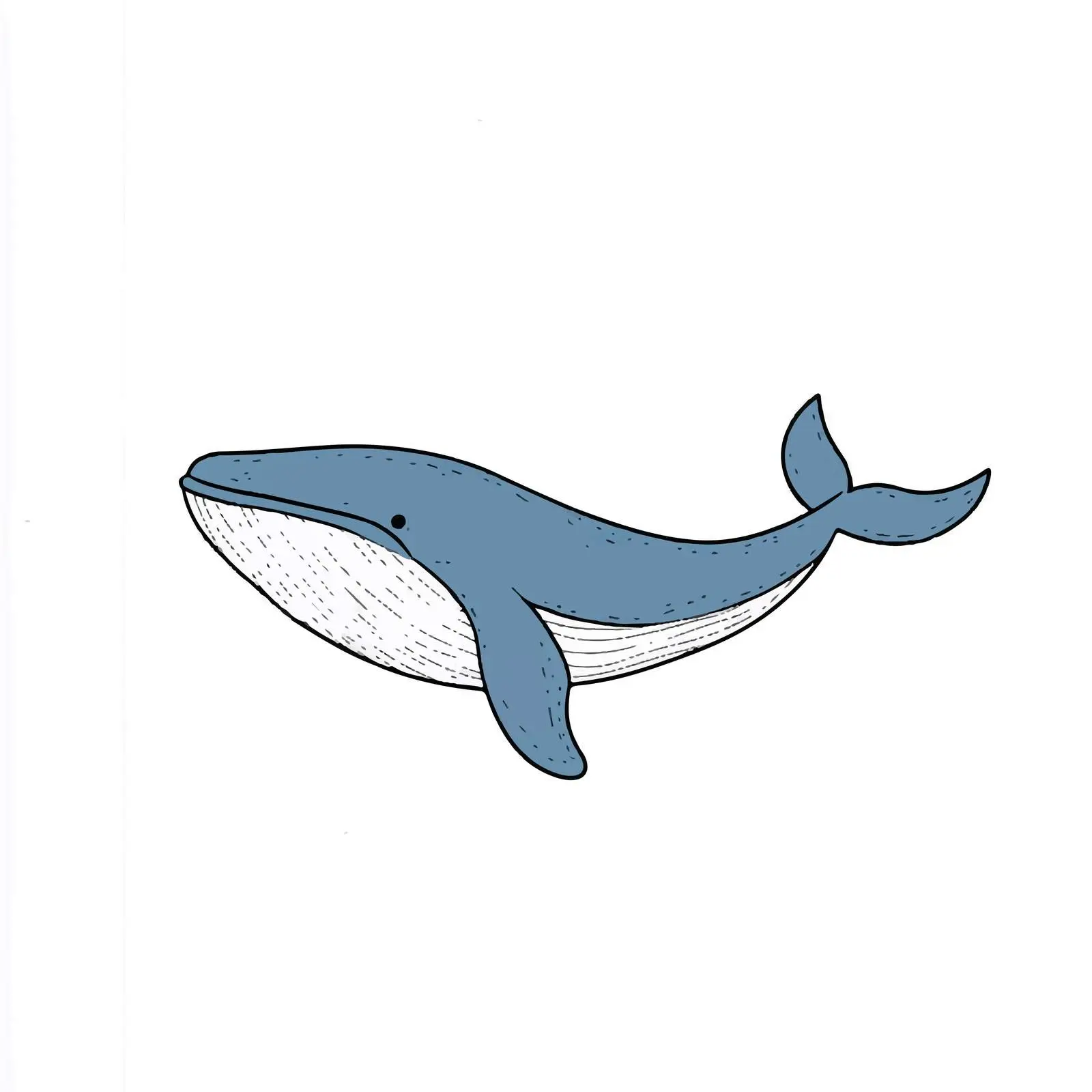Hand-Drawn Blue Whale Vector Illustration — free download from Dotvec