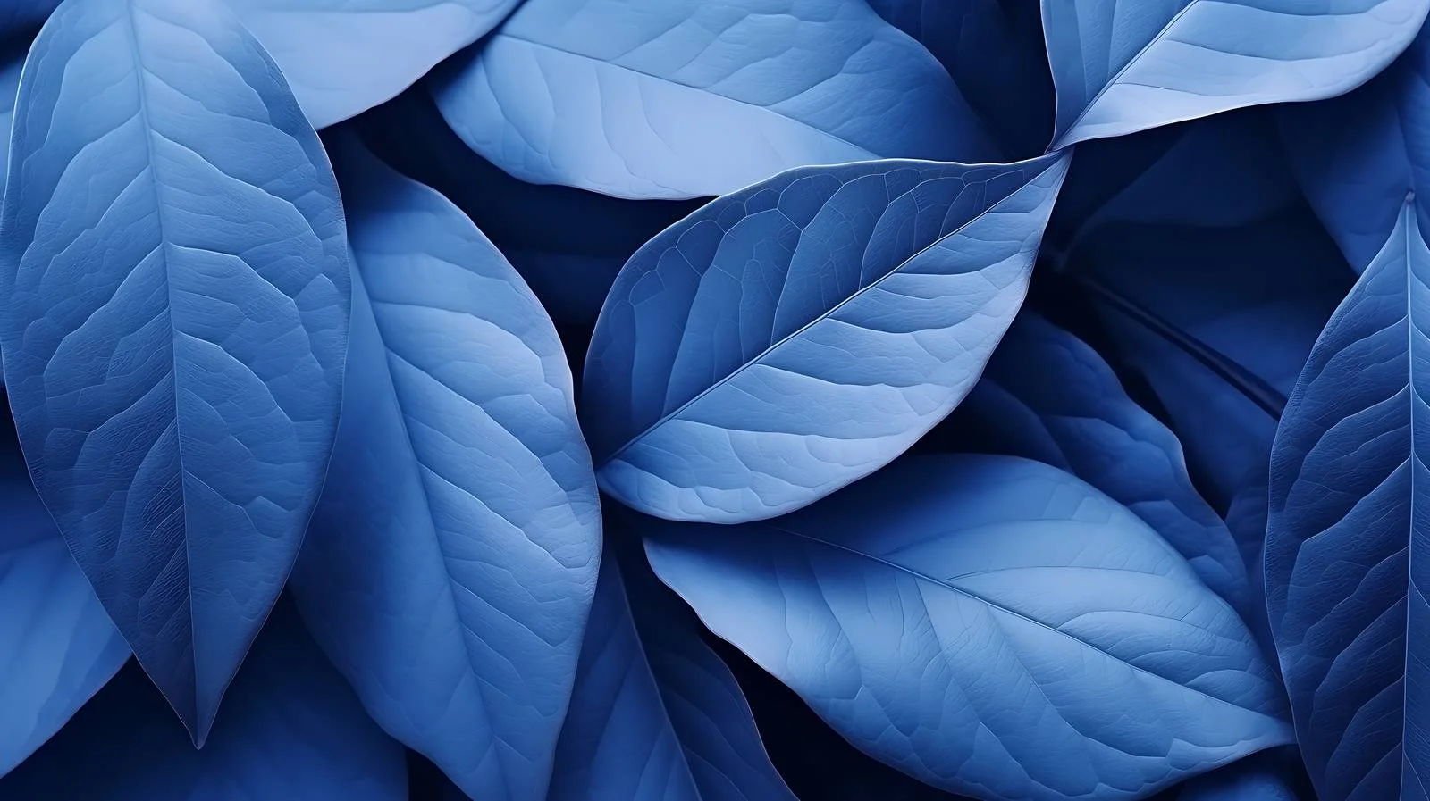Autumn Blue Plant Leaves in Nature — free download from Dotvec