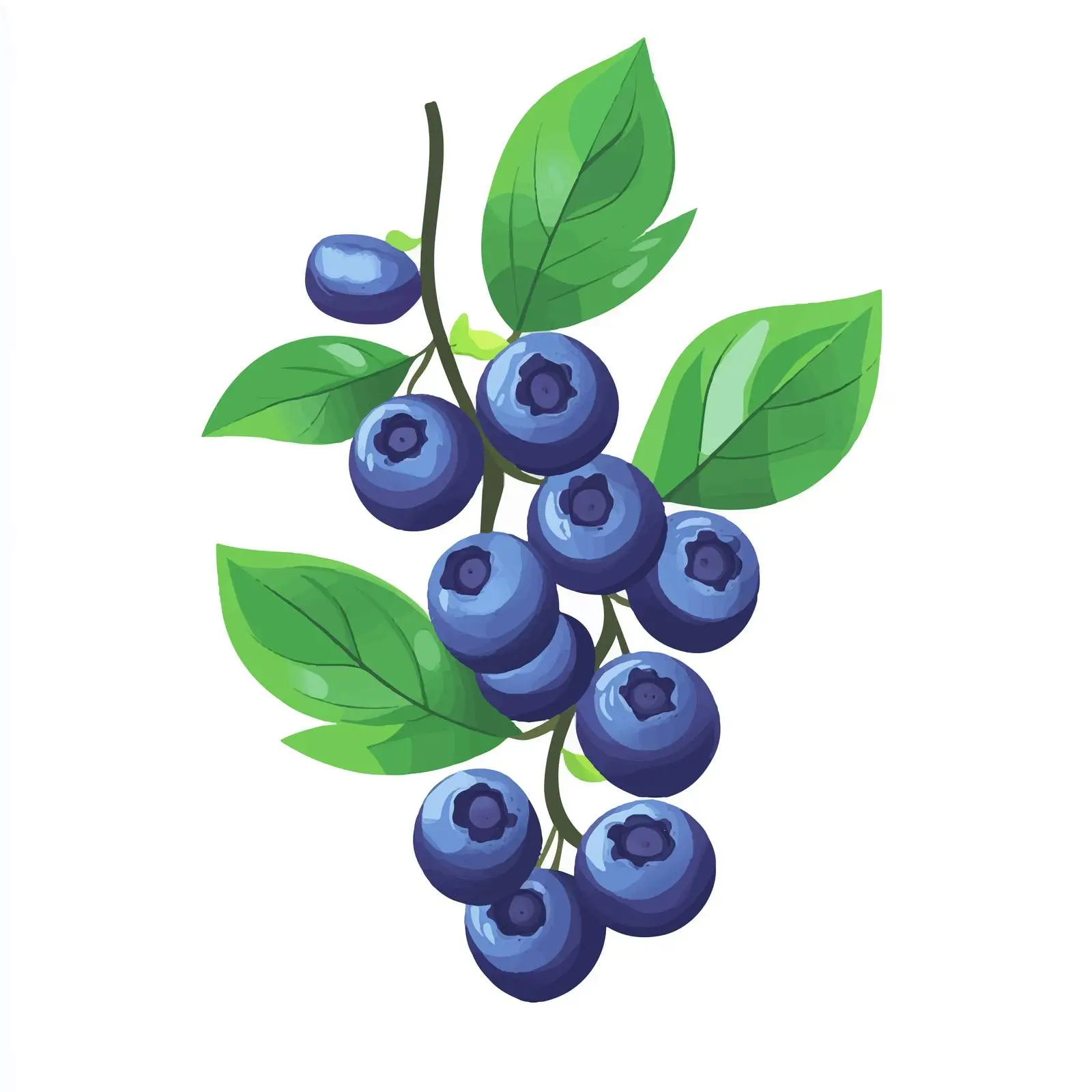 Fresh Ripe Blueberries and Bilberries — free download from Dotvec