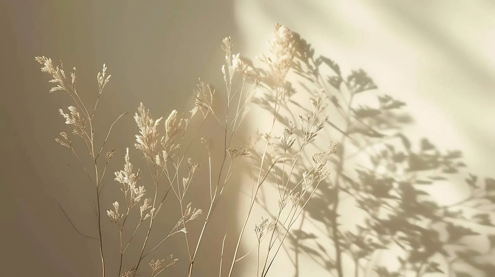 Sunlight Shadows on Grass Bouquet – free atmospheric image from Dotvec