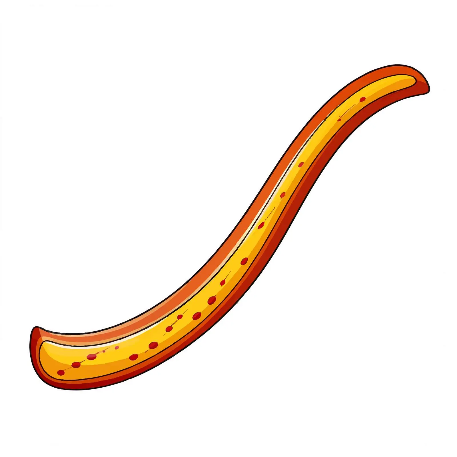 Isolated Boomerang Vector Illustration on White Background – free sport equipment image from Dotvec