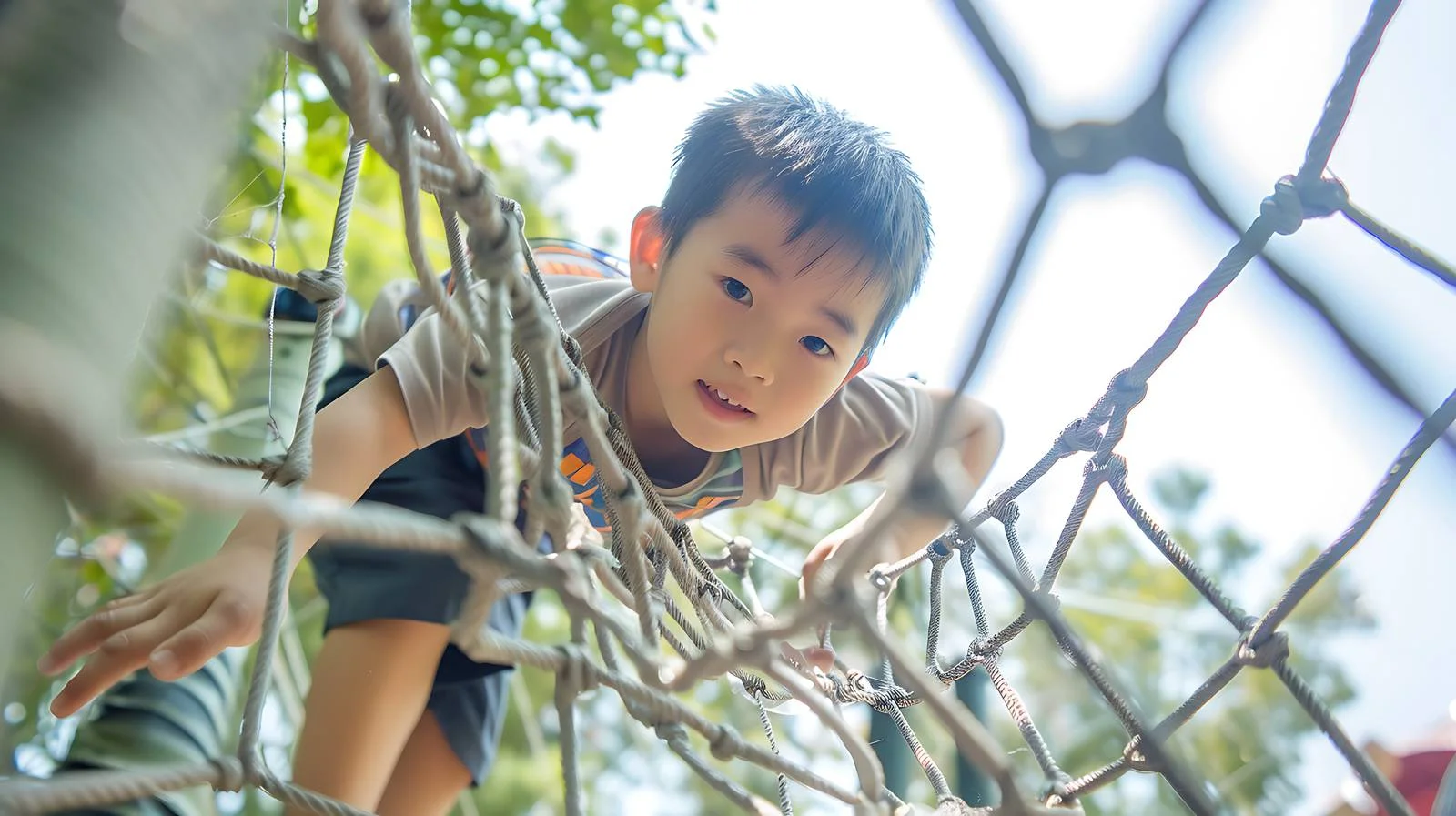Adventurous boy on public park spider web — free download from Dotvec