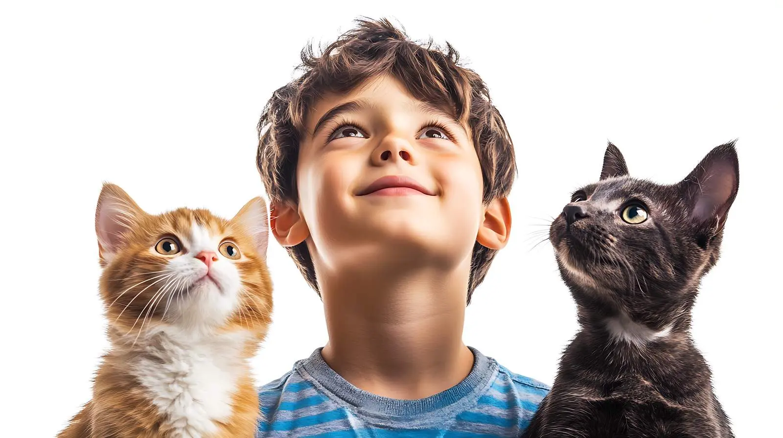 Playful Dog and Kitten Together on White Background — free download from Dotvec