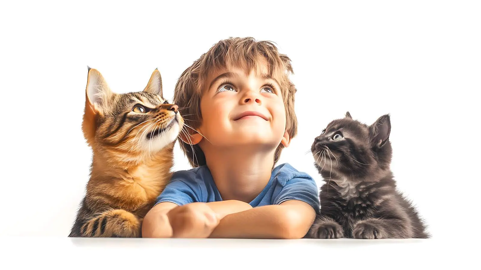 Cute Dog and Kitten Together Looking Up — free download from Dotvec