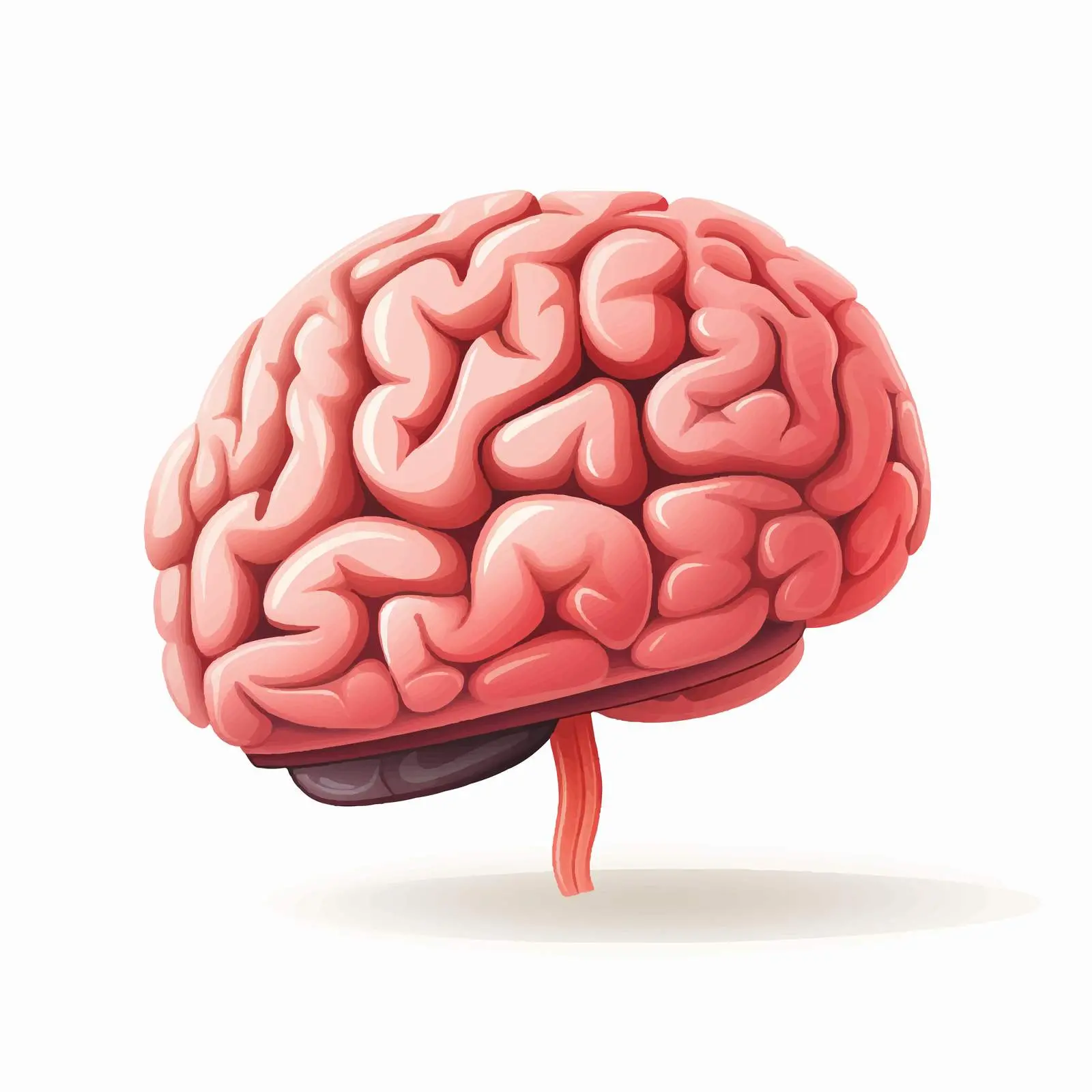 Top View Brain Vector Illustration on White Background – free course image from Dotvec