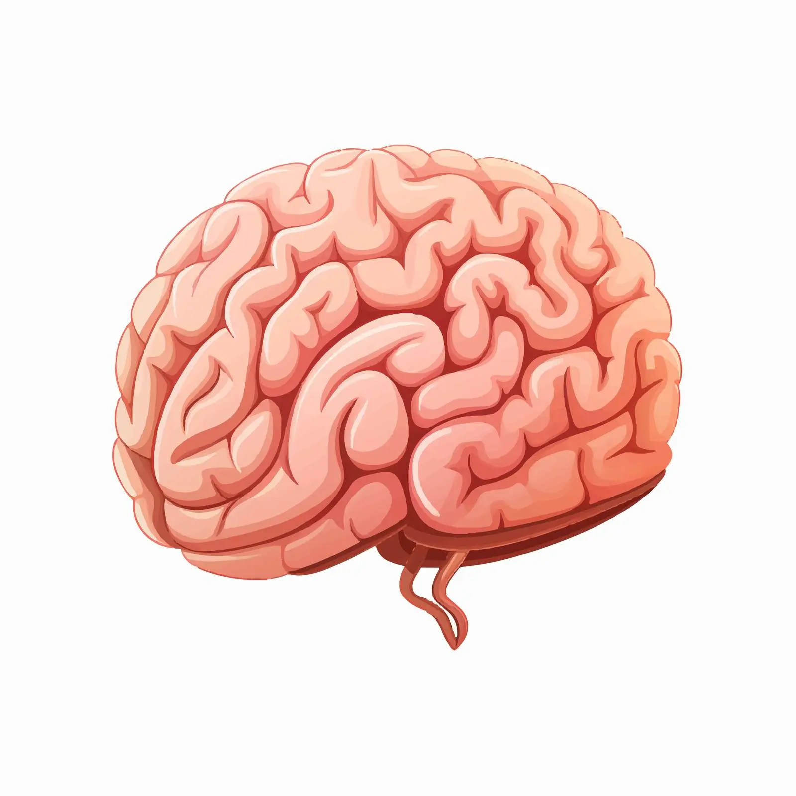 Top View 3D Brain Vector Illustration — free download from Dotvec