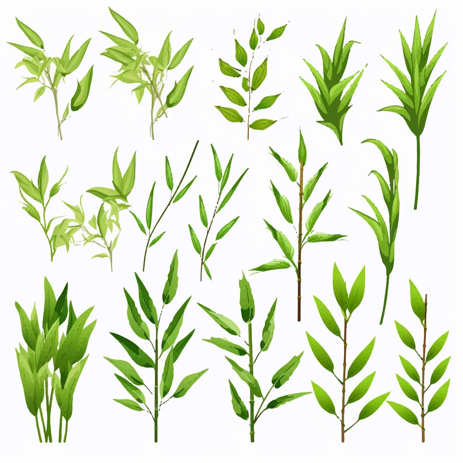 Fresh Green Bamboo Leaves Clipart Vector Set — free download from Dotvec