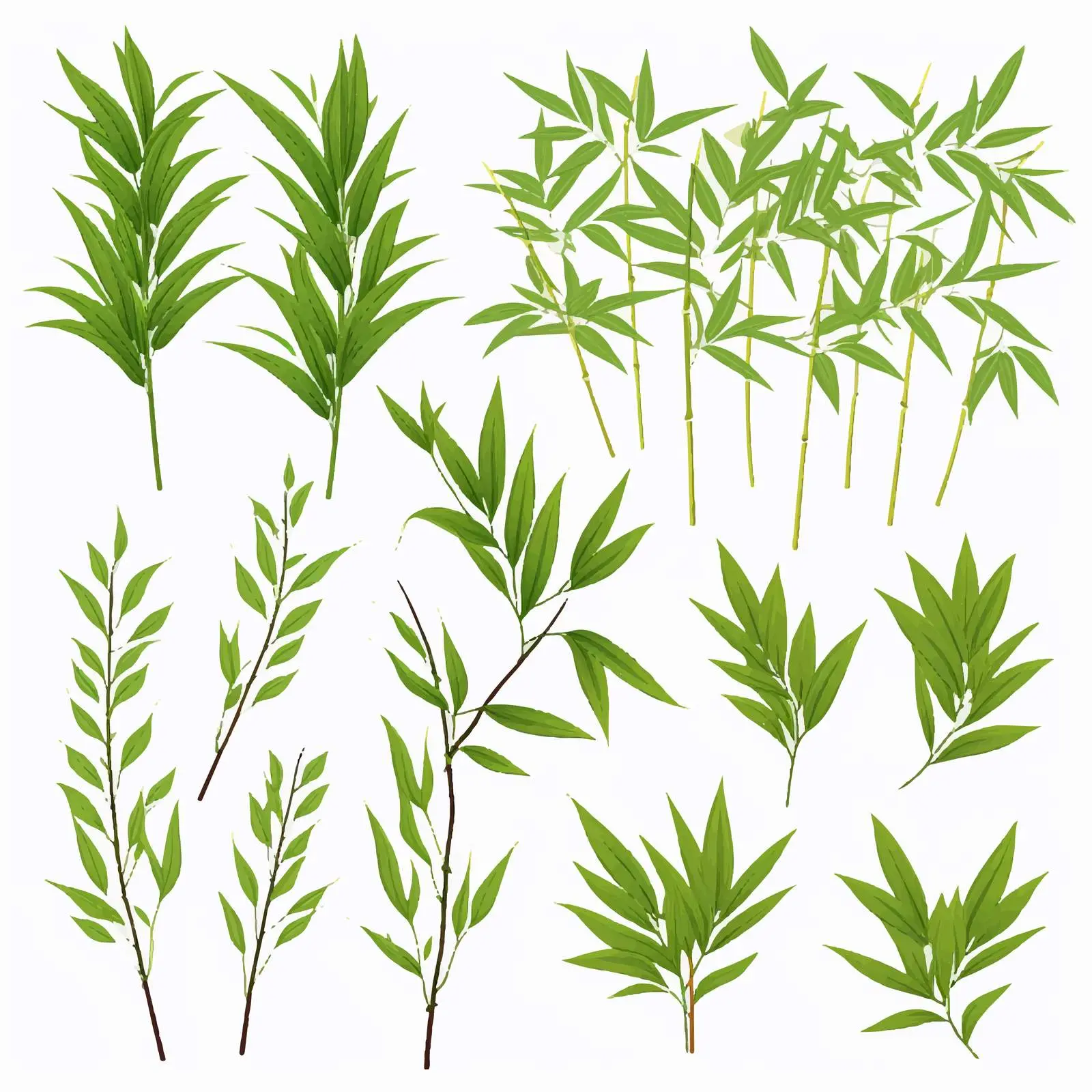 Fresh Green Bamboo Leaves Clipart Kit — free download from Dotvec