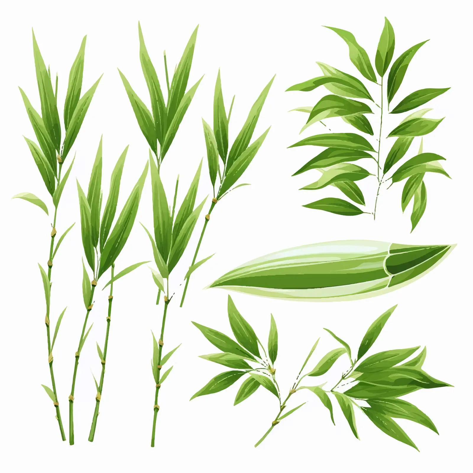 Fresh Green Bamboo Leaves Clipart Kit — free download from Dotvec