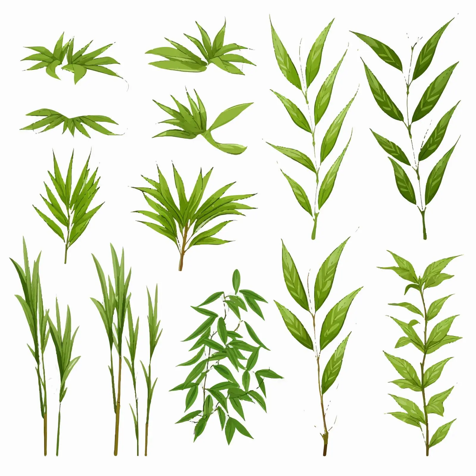Fresh Green Bamboo Leaves Clipart Kit — free download from Dotvec