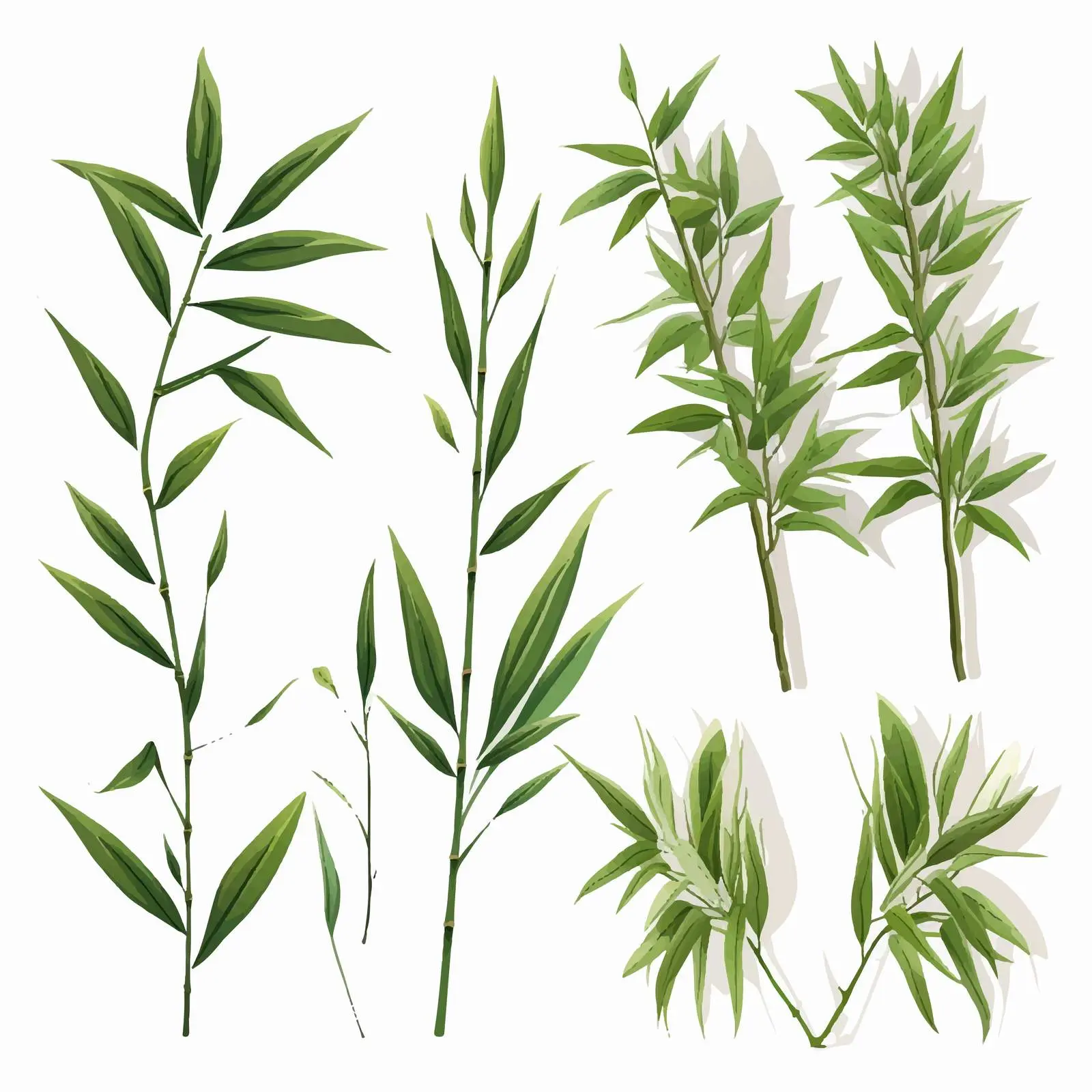 Bright Green Bamboo Leaves on White Background — free download from Dotvec
