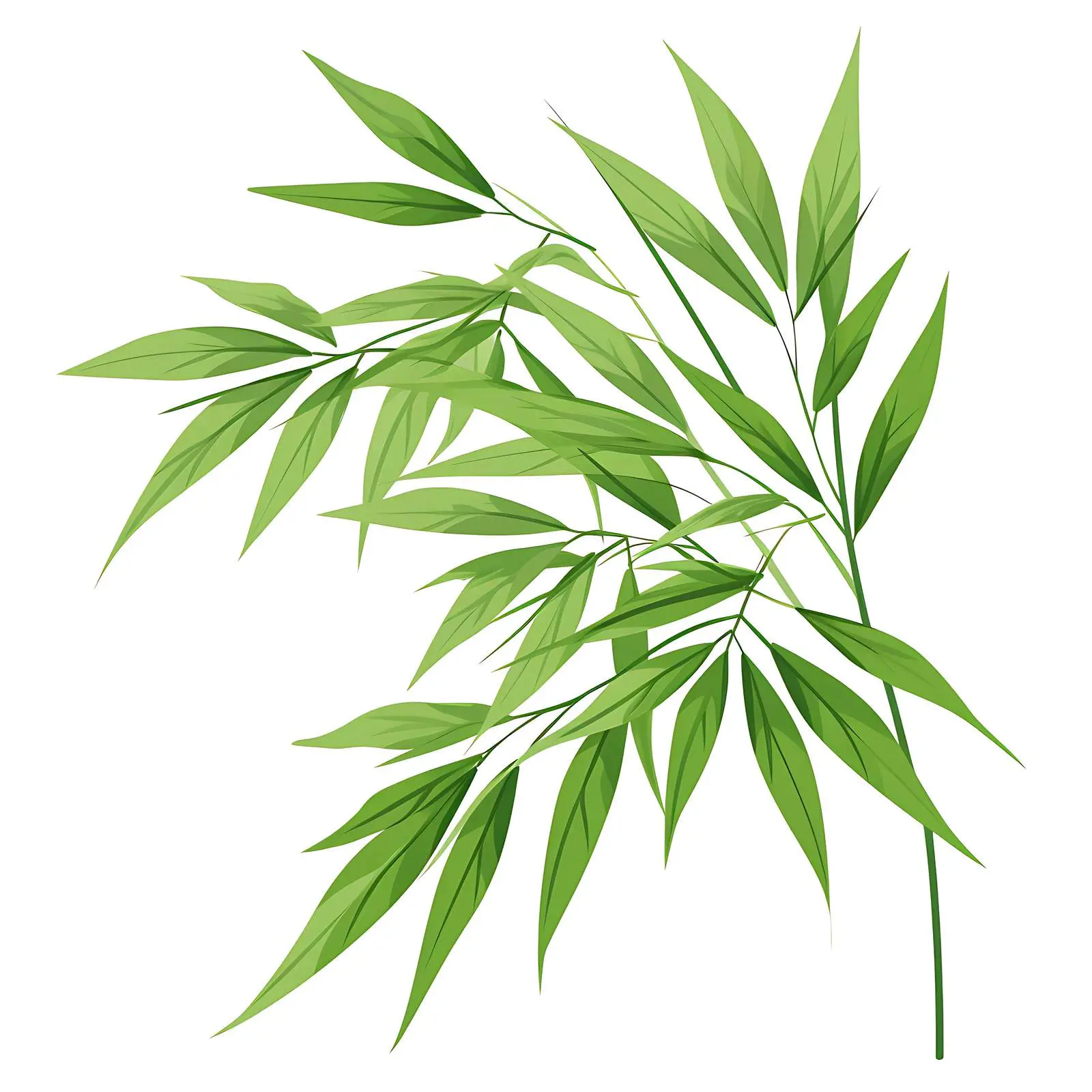 Isolated Bright Jungle Green Bamboo Leaves – free tropical design image from Dotvec