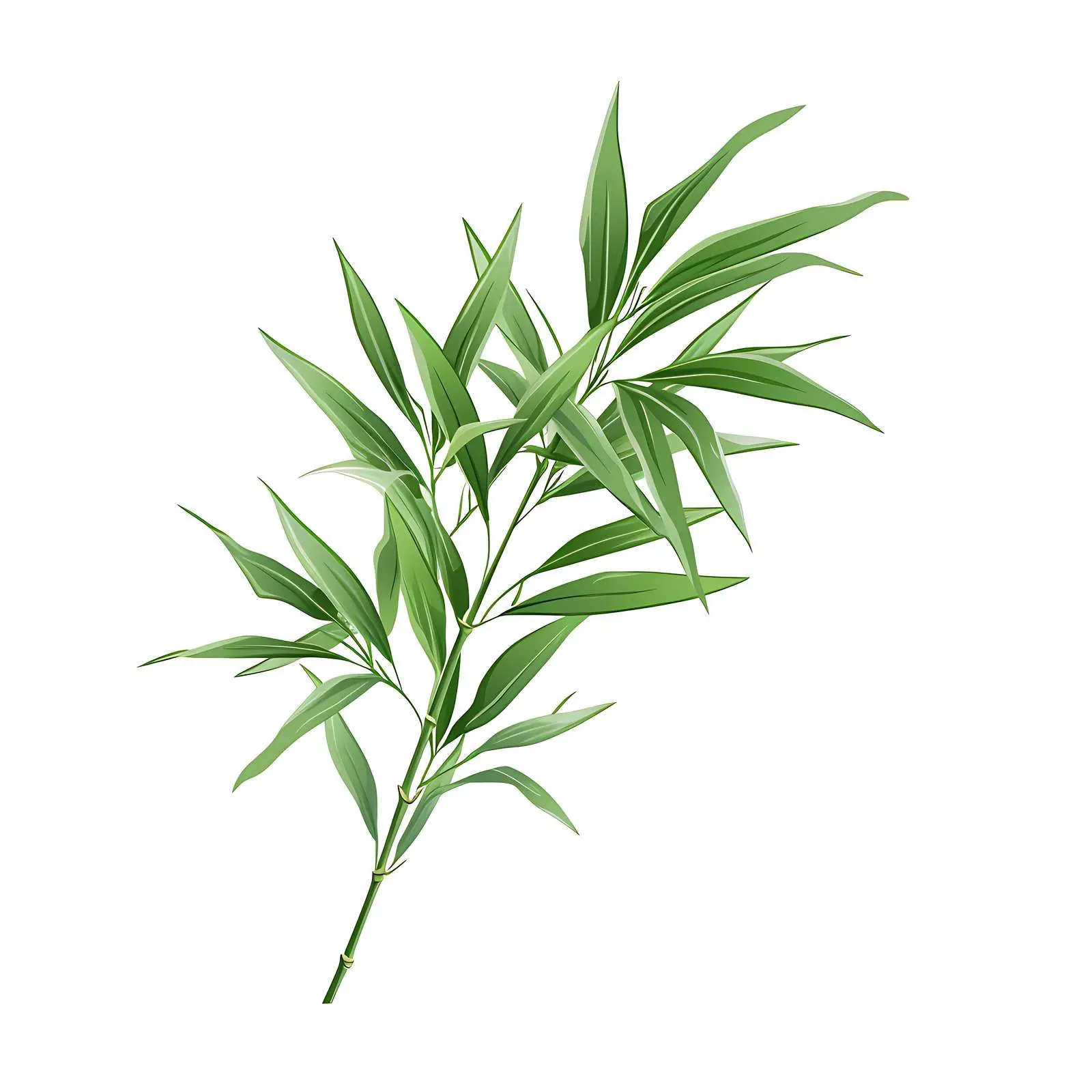 Isolated Bright Green Bamboo Leaves in Jungle – free green landscape image from Dotvec