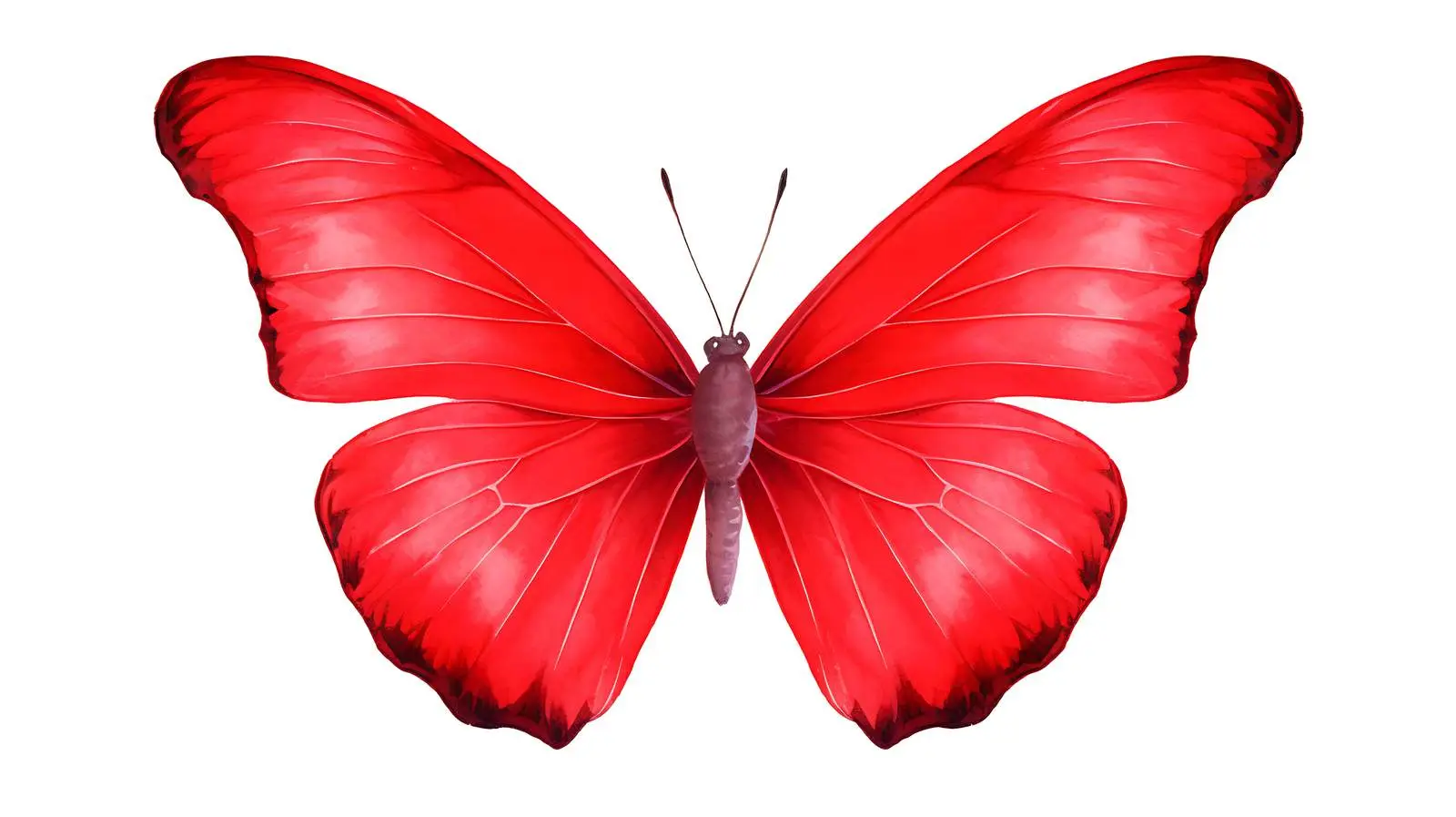 Vibrant Red Butterfly Illustration — free download from Dotvec