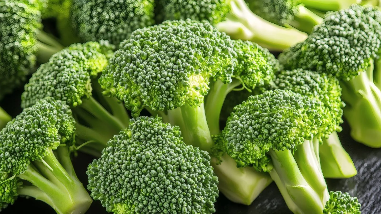 Fresh Broccoli on White Background — free download from Dotvec