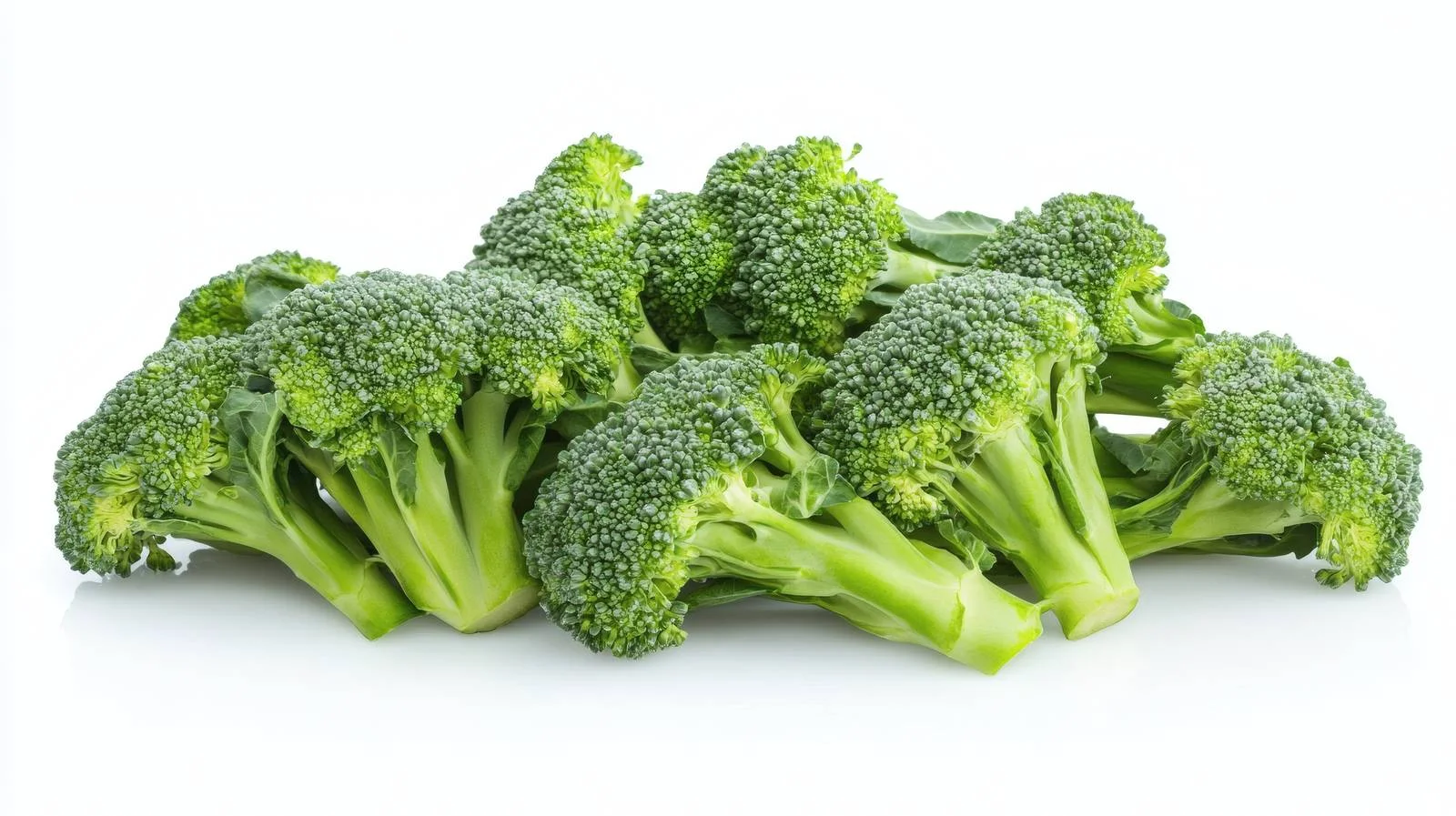 Fresh Broccoli on White Background — free download from Dotvec