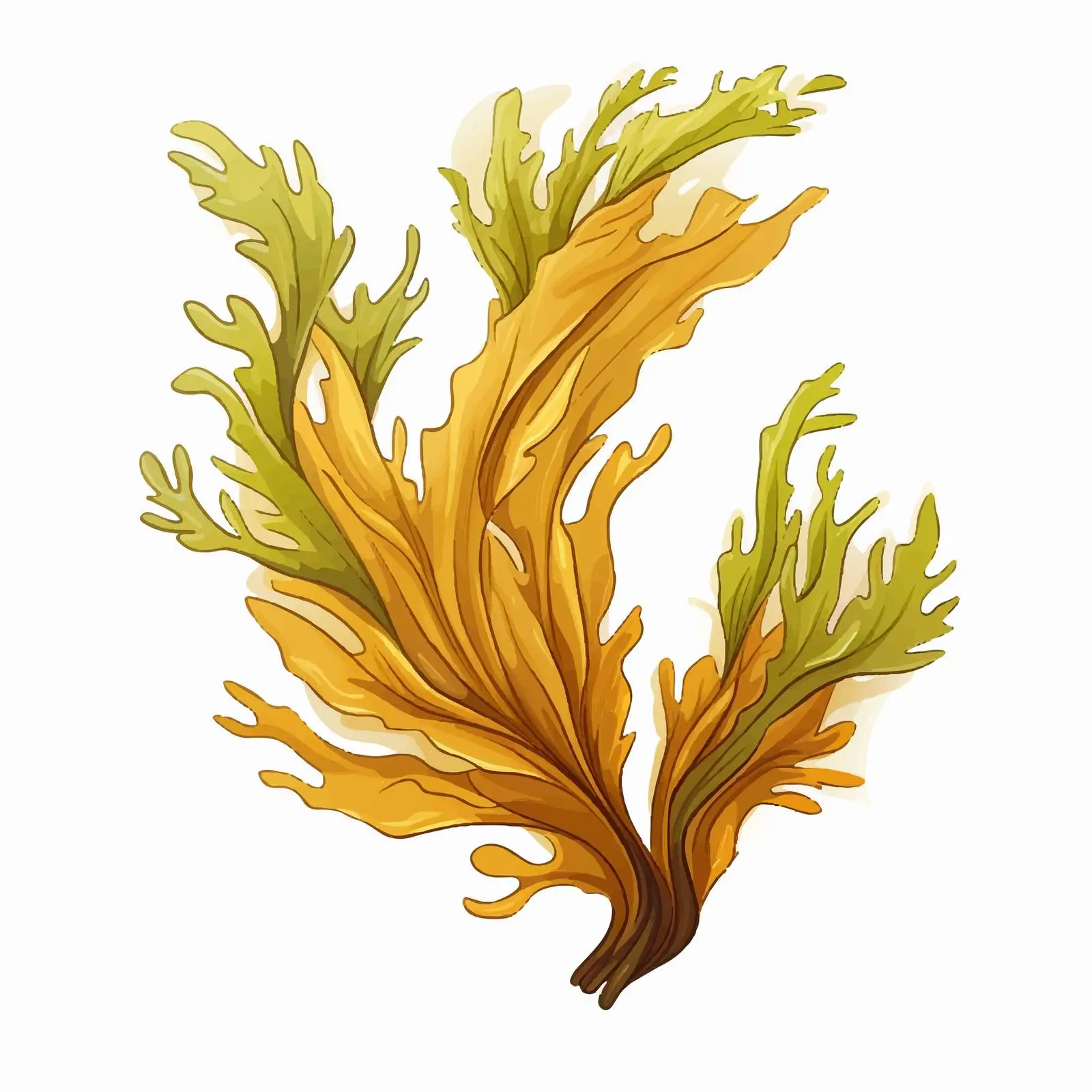 Edible Brown Kelp and Laminaria Seaweed — free download from Dotvec