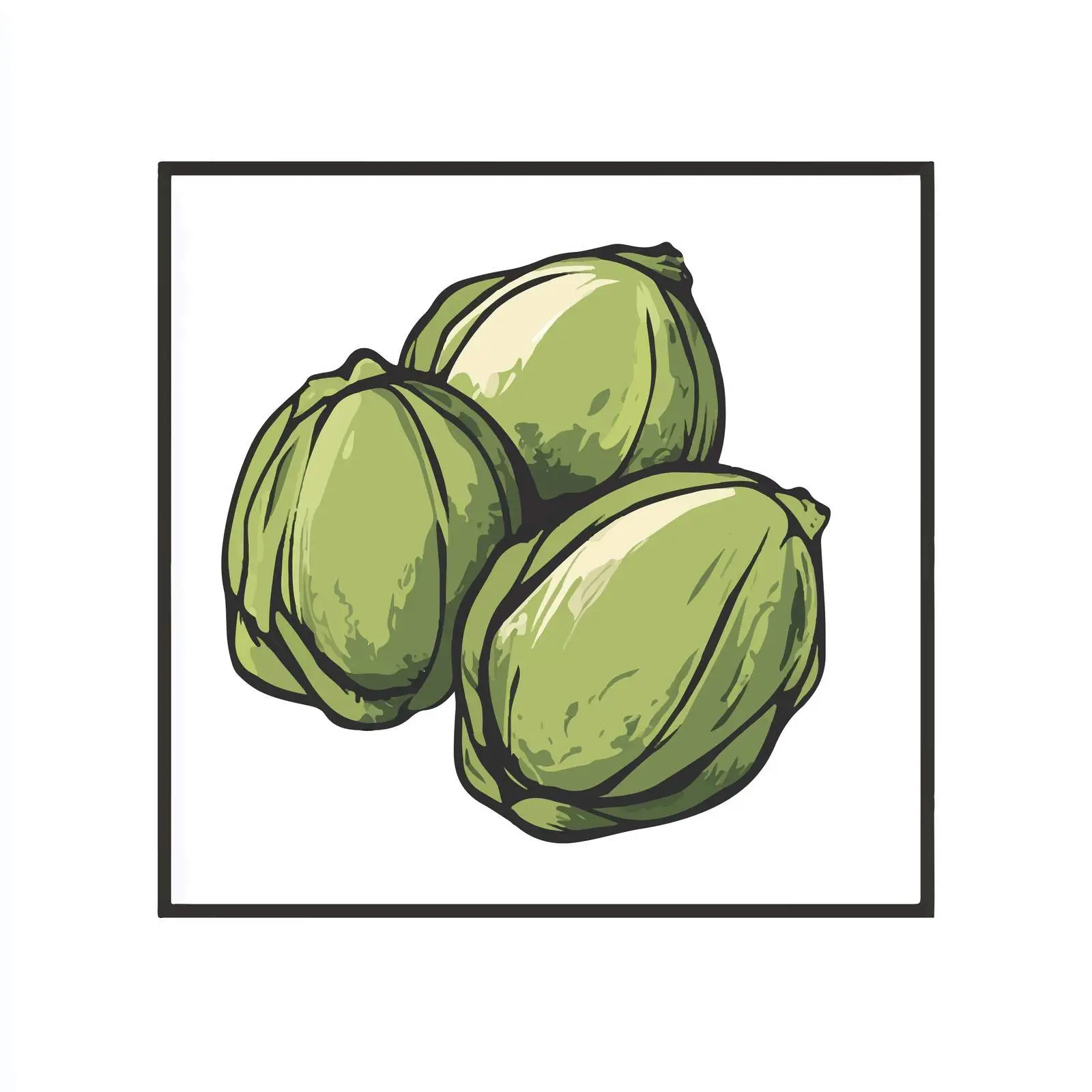 Brussels Vegetable Icon Vector Illustration — free download from Dotvec