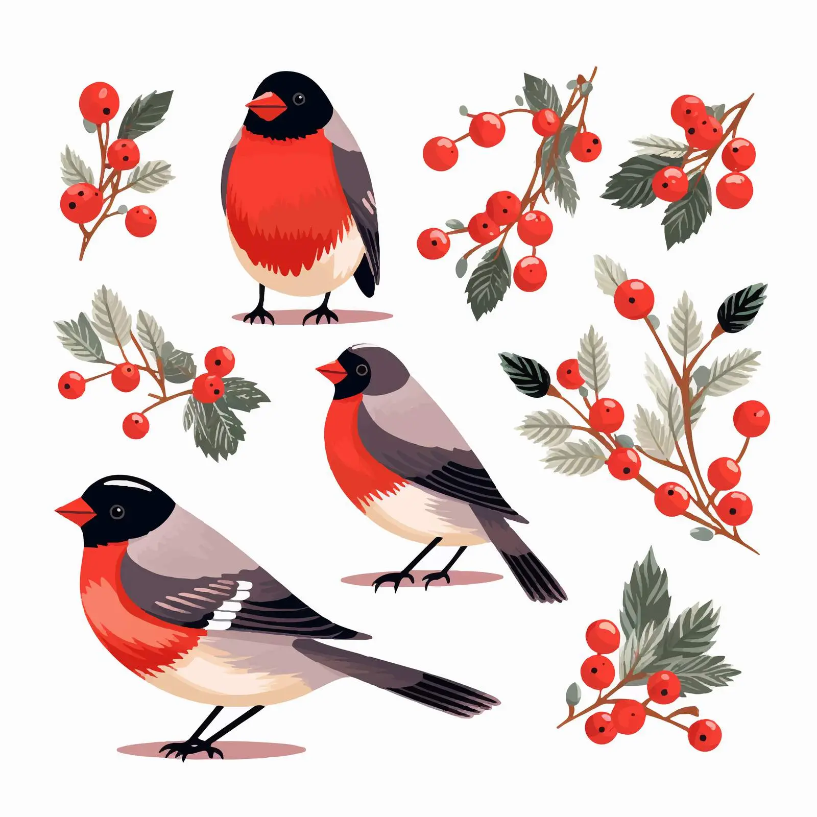 Bullfinches and Fur Tree Clip Art Illustration – free cute birds image from Dotvec