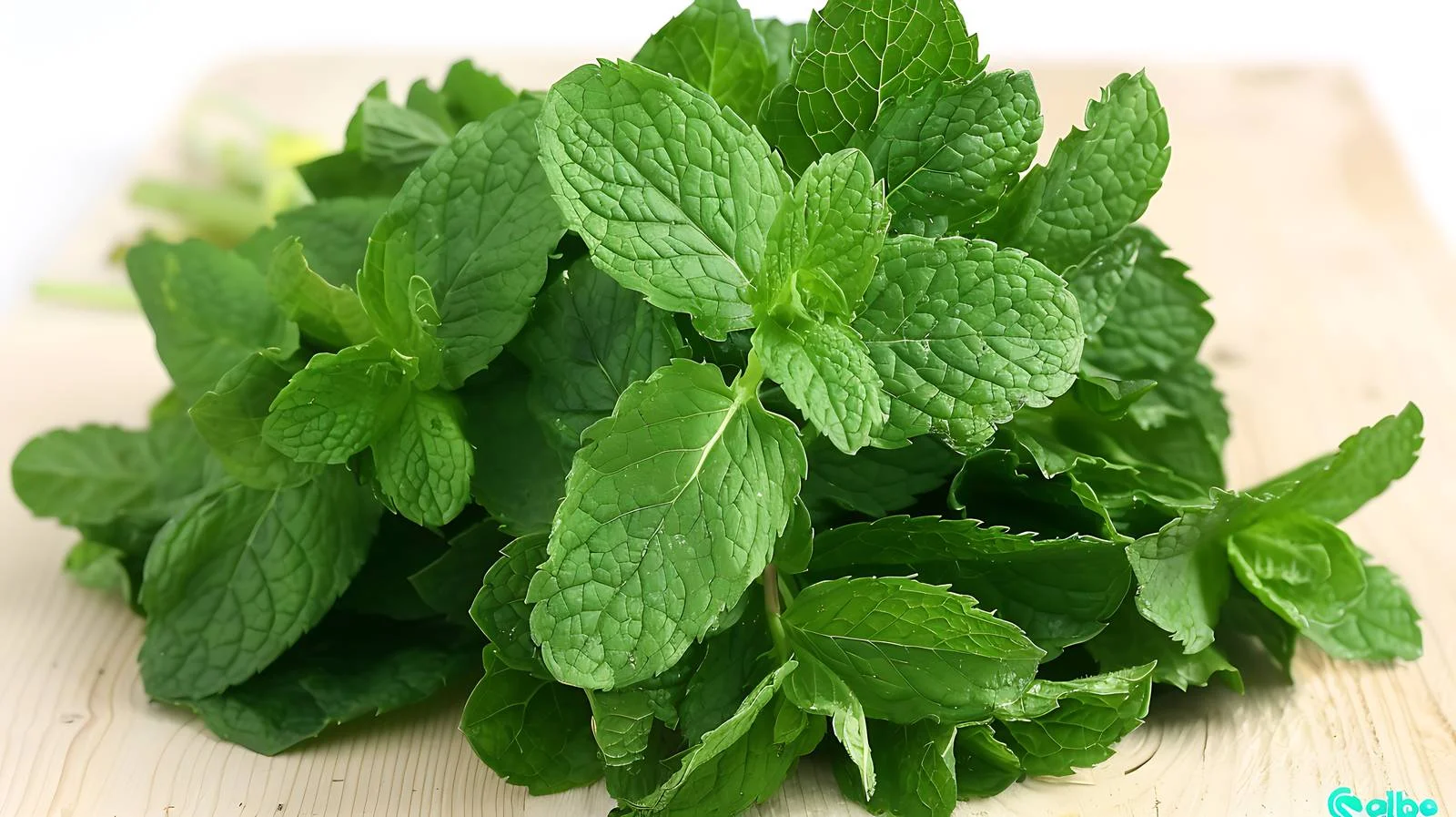 Organic Mint Leaves on Wooden Surface — free download from Dotvec