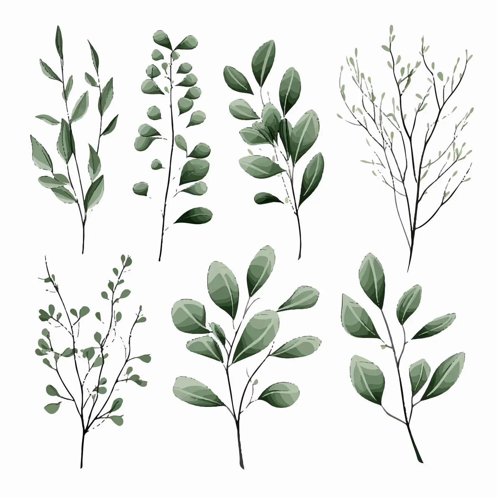 Elegant Eucalyptus Vector Drawings Collection — free download from Dotvec