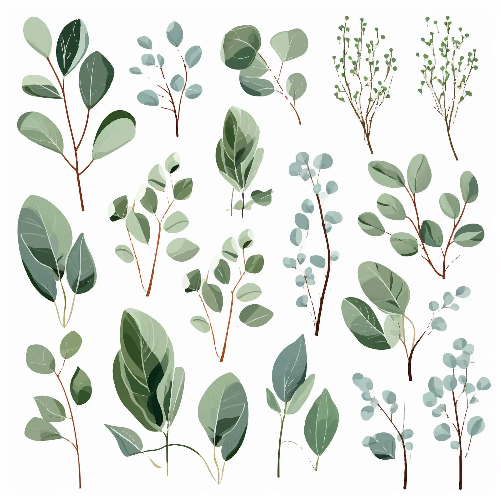 Elegant Eucalyptus Drawings Vector Collection — free download from Dotvec