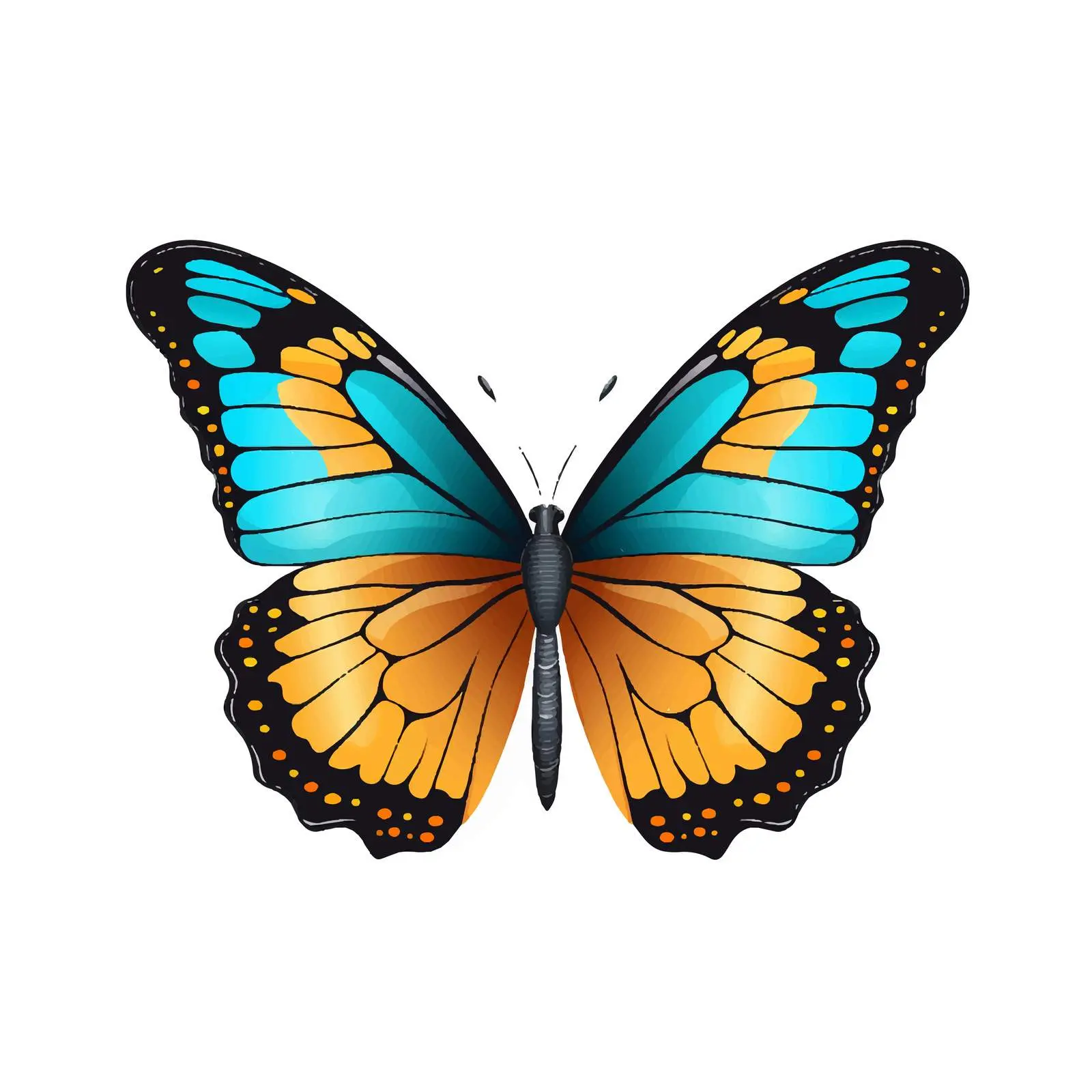 Butterfly Vector Illustration on White Background – free web use image from Dotvec