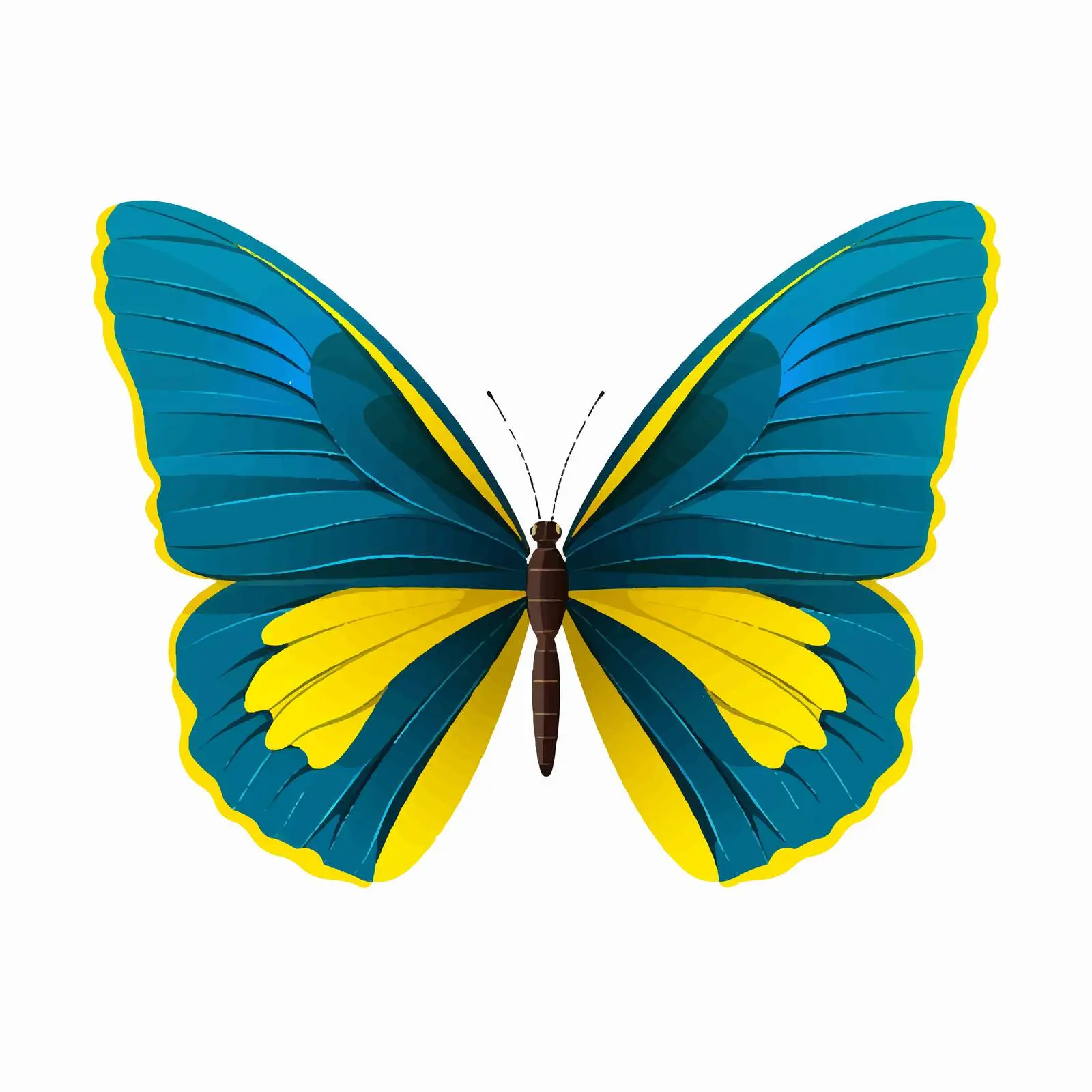 Colorful Butterfly Wings Representing National Flag — free download from Dotvec