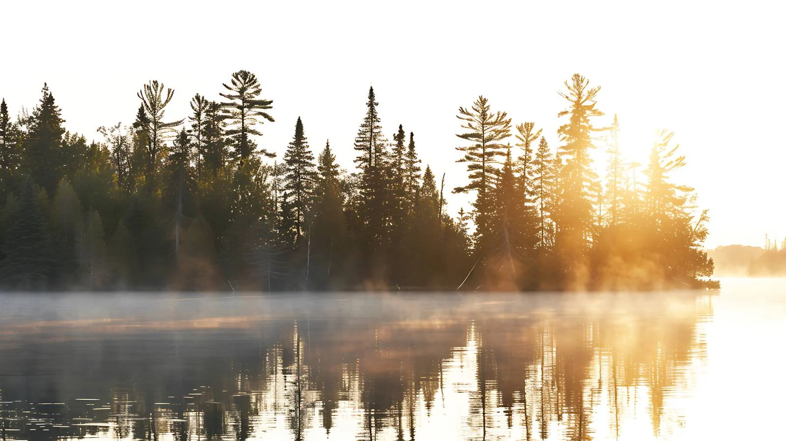 Tranquil Northern Minnesota Lake with Sunlit Pines — free download from Dotvec