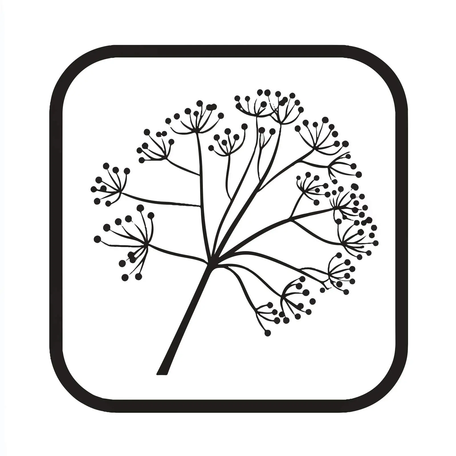 Caraway Fennel Seed Vector Icon — free download from Dotvec