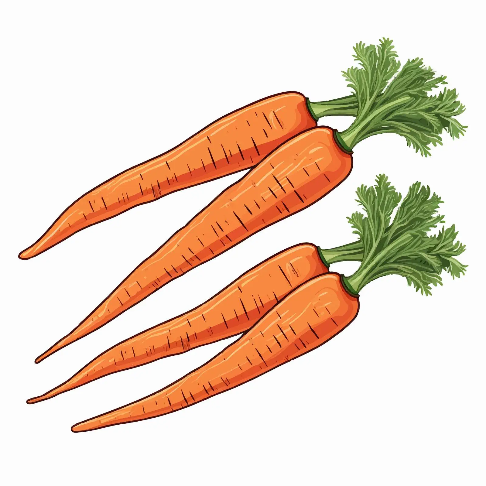 Isolated Carrot Vector Illustration on White Background — free download from Dotvec