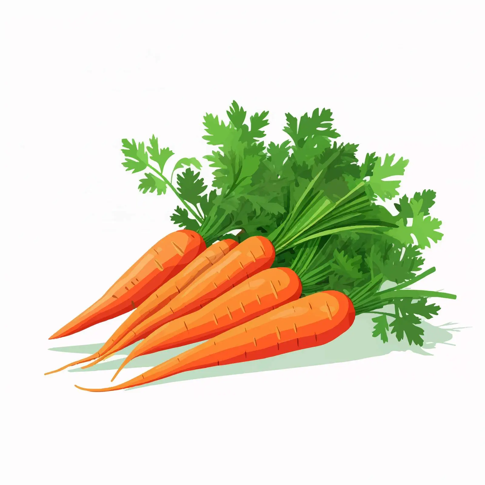 Fresh Carrots with Green Leaves Vectors — free download from Dotvec