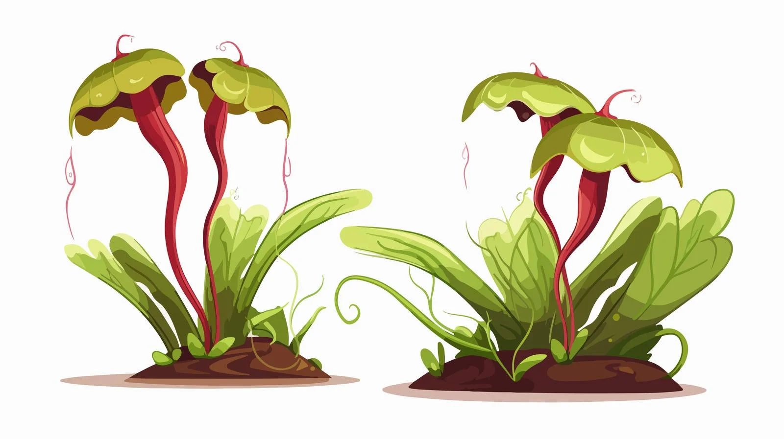 Cartoon Carnivorous Plant Illustration — free download from Dotvec