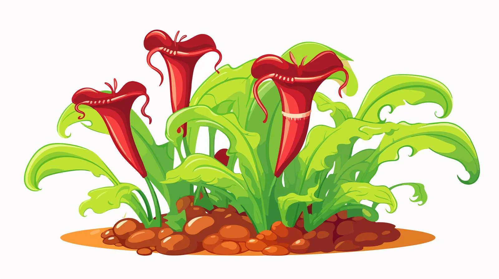 Carnivorous Plant Vector Illustration — free download from Dotvec