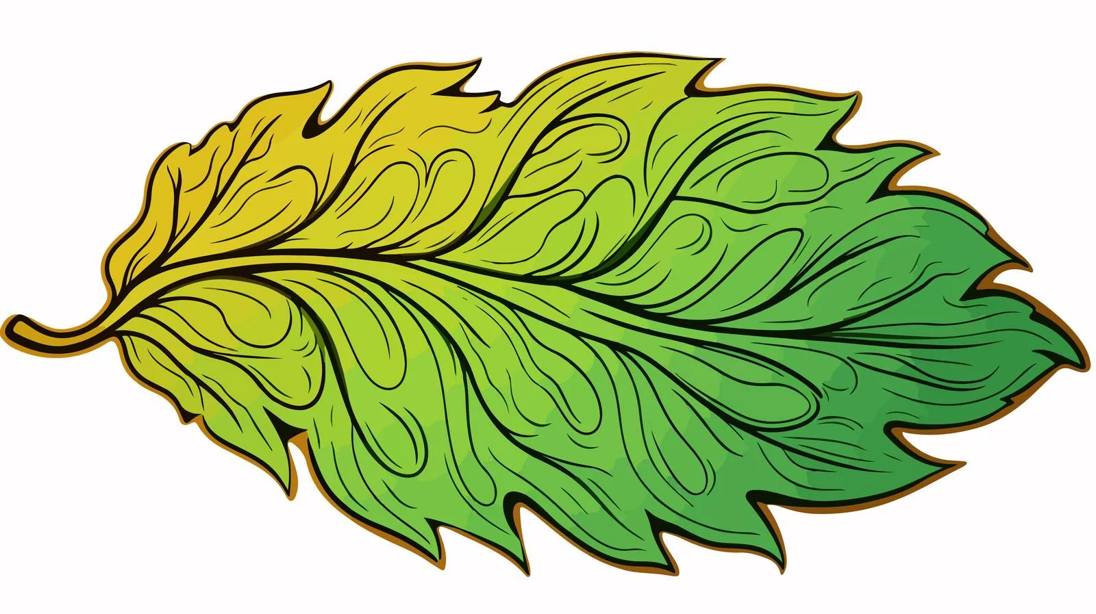 Cartoon Doodle Leaf Vector Illustration — free download from Dotvec
