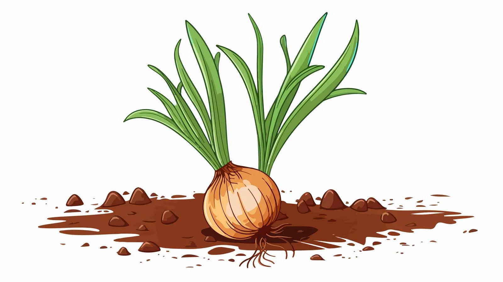 Sprouting Onion Cartoon Doodle Illustration — free download from Dotvec