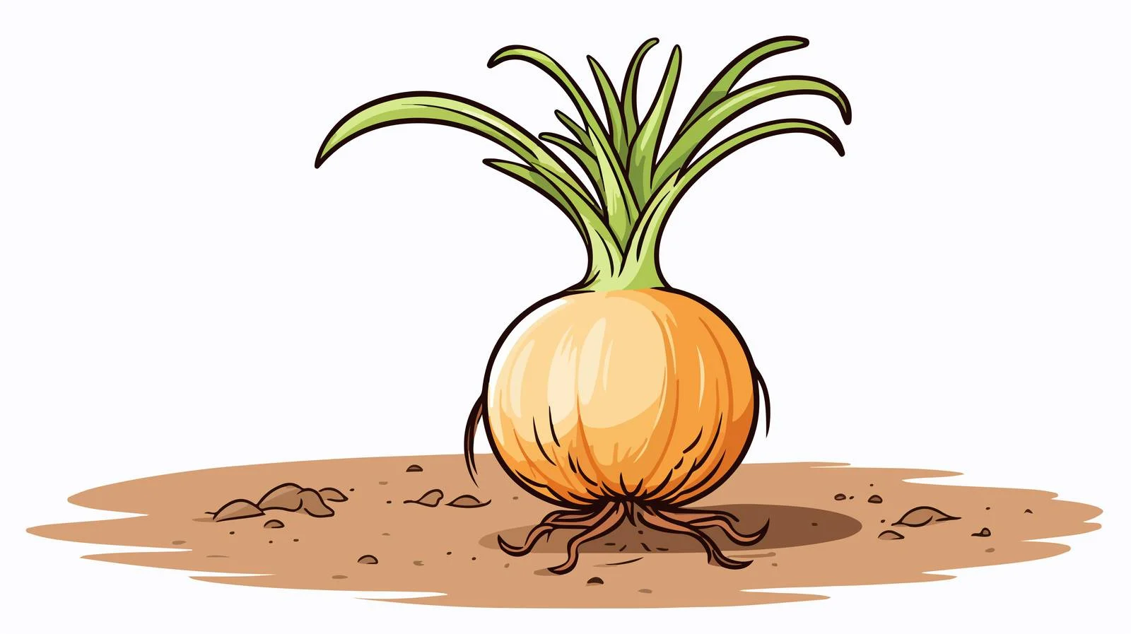 Whimsical Sprouting Onion Illustration — free download from Dotvec