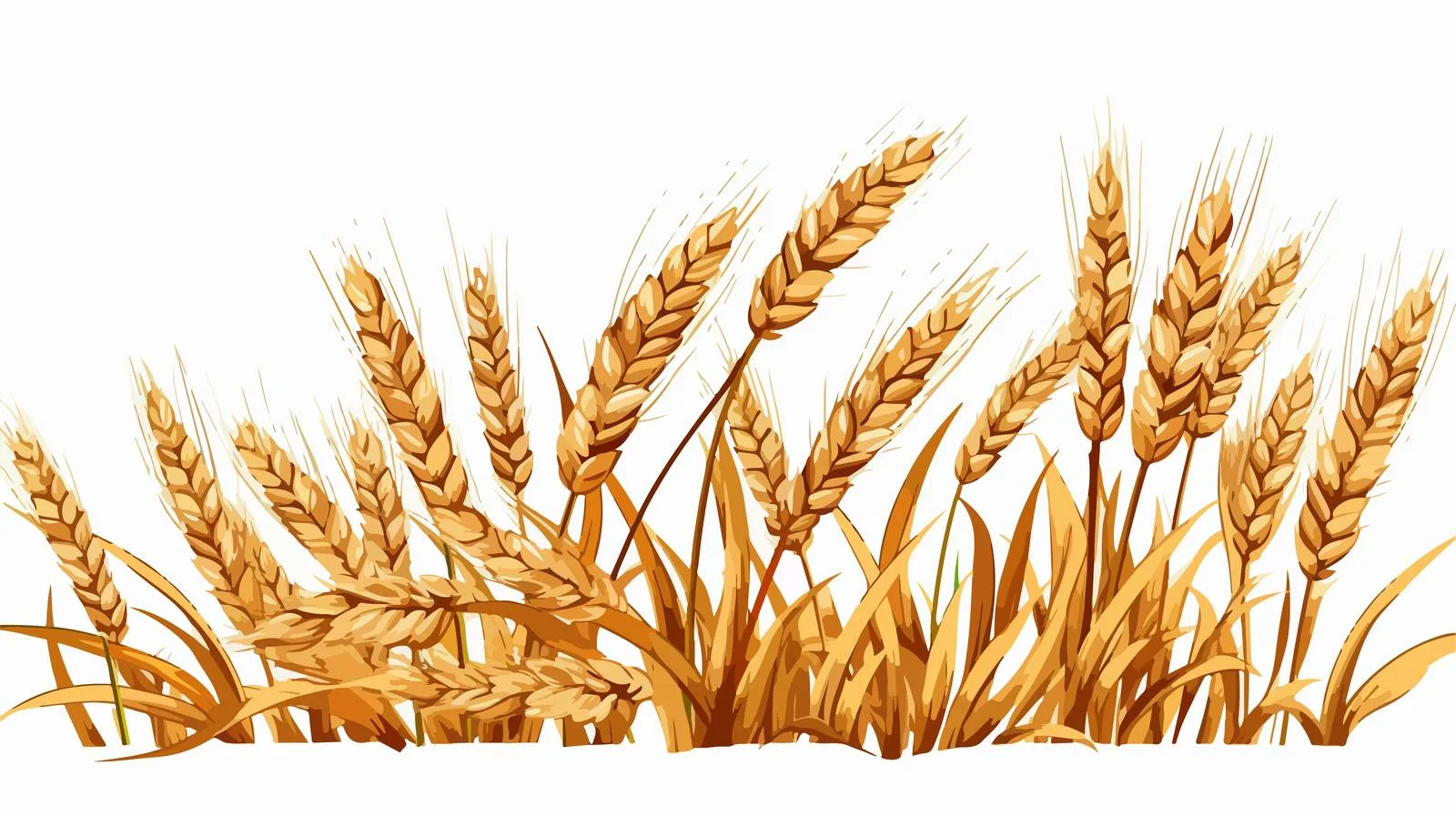 Cartoon Wheat Illustration — free download from Dotvec