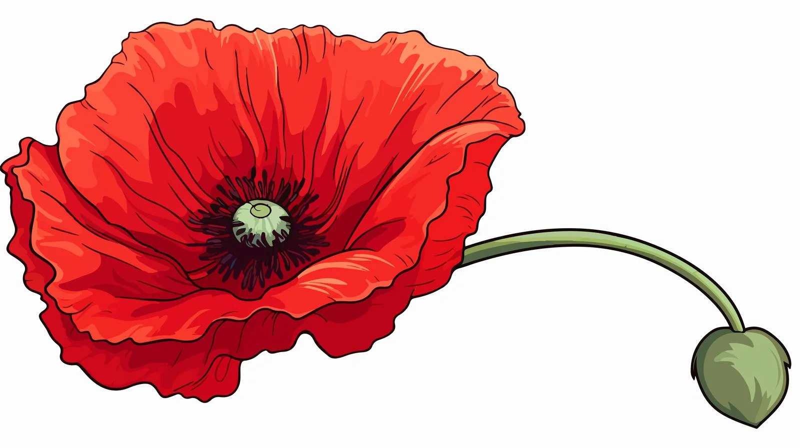 Cartoon Dried Poppy Flower Vector Illustration — free download from Dotvec