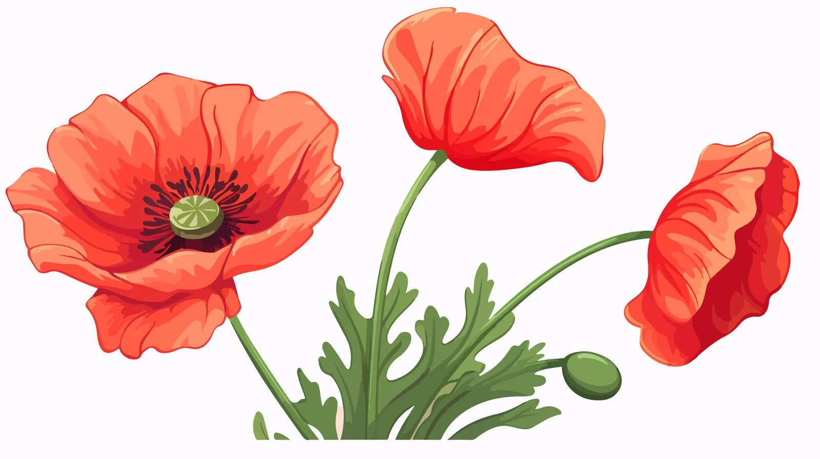 Cartoon Dried Poppy Flower Vector Illustration — free download from Dotvec