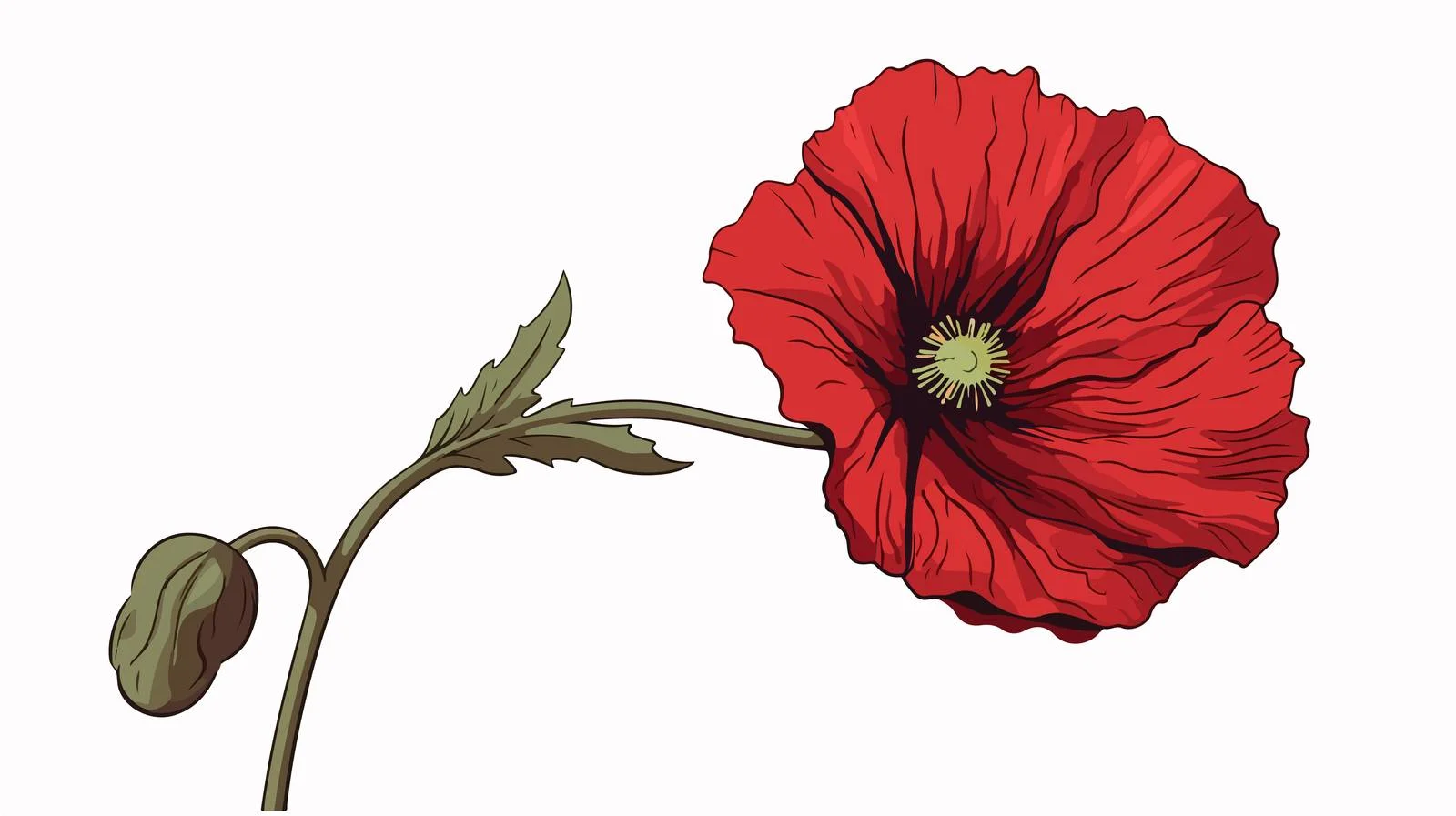 Cartoon Dried Poppy Flower Vector Illustration — free download from Dotvec