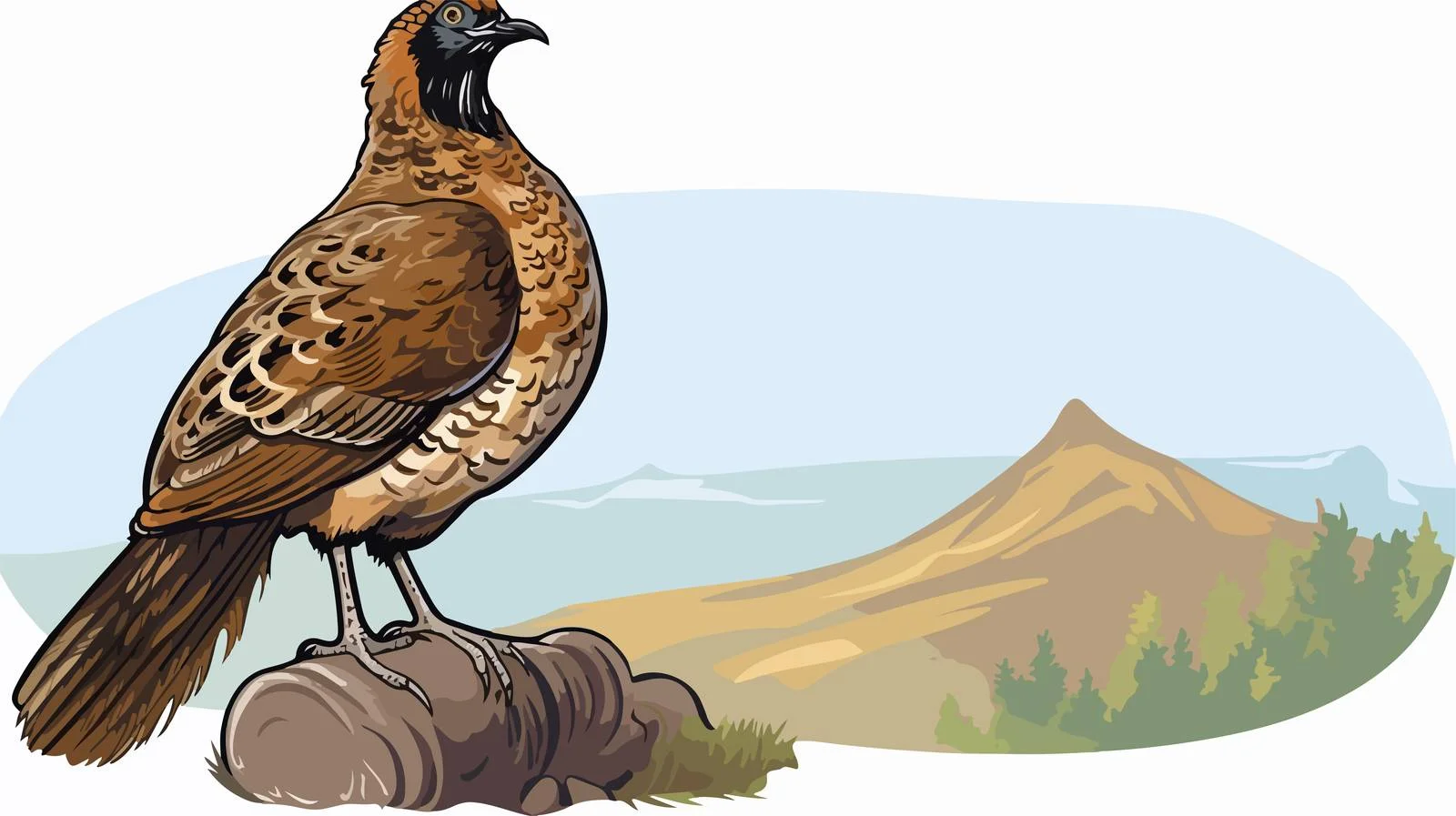 Charming Grouse Speech Bubble Vector Illustration — free download from Dotvec