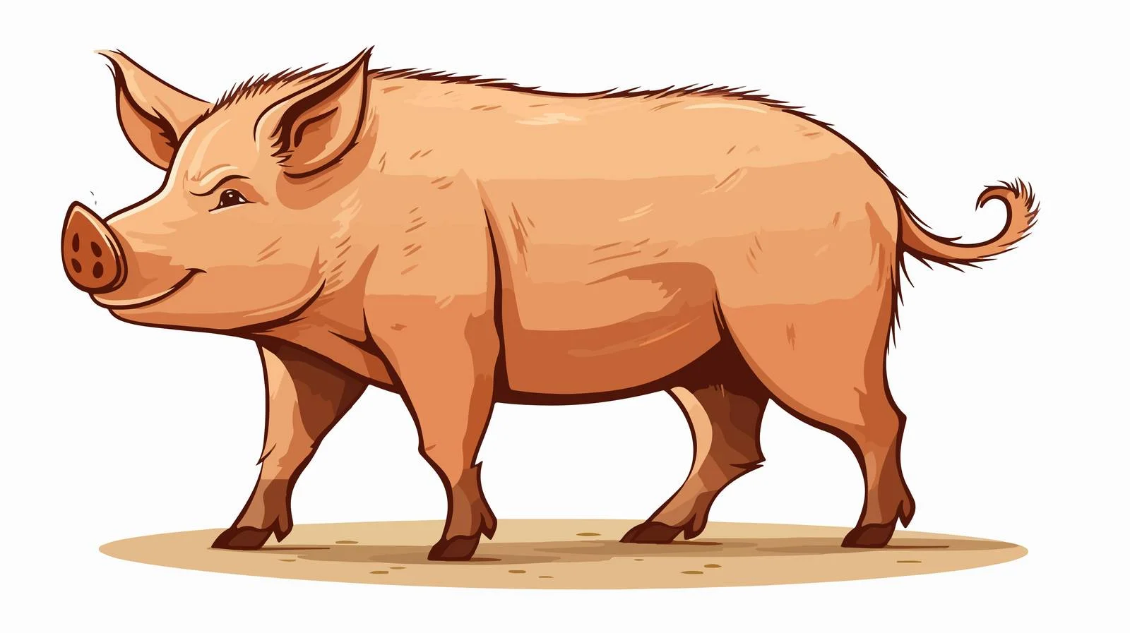 Cartoon Hog Illustration — free download from Dotvec